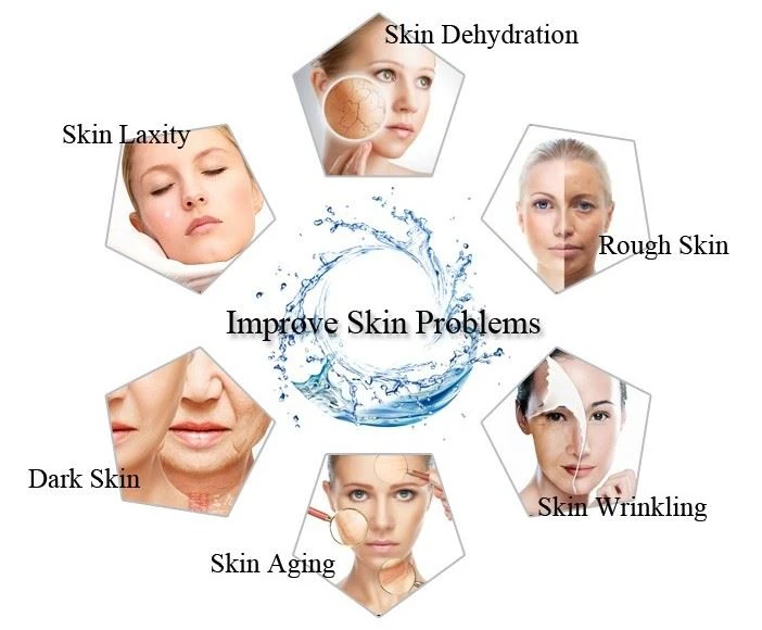 Application of Skimmed Almond Protein Powder Application of Skimmed Almond Protein Powder