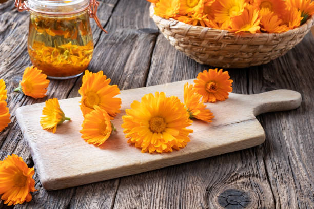 marigold extract eye benefits marigold extract eye benefits