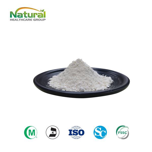 Порошок экстракта бересты