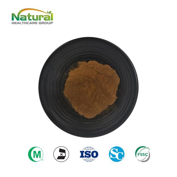 Порошок экстракта Fucus Vesiculosus