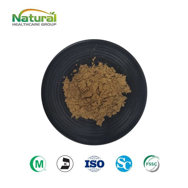 Порошок экстракта листьев Ocimum Sanctum